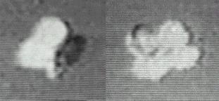 The Nellis UFO, seen in two different views from the video footage