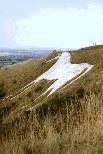 Westbury White Horse hill figure, Wiltshire (Photo: September 1990)