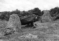 Din Dryfol chambered tomb, Anglesey (Photo: July 1987)