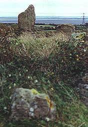 Heston Brake long cairn, Monmouthshire (Gwent), looking Eastwards along the monument's axis