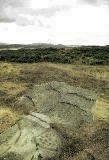 Dod Law rock carvings, Northumberland (Photo: July 1989)