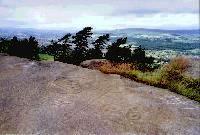 The Hanging Stones carved rock, Rombalds Moor, West Yorkshire (Photo: July 1988)