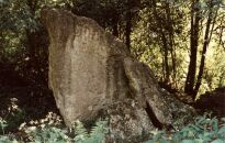 The Hoar Stone burial chamber, near Enstone, Oxfordshire (Photo: May 1989)