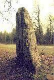 The Long Stone, Staunton, Forest of Dean, Gloucestershire (Photo: February 1994)