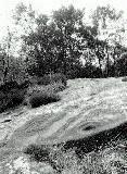 Roughtin Linn carved rock, Northumberland (Photo: July 1989)