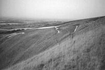 Uffington white horse hill figure, Oxfordshire (Photo: August 1990)