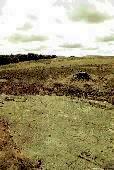 Weetwood Moor rock carvings, Northumberland (Photo: July 1989)