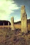 Ballymeanoch stone row, Mid Argyll (Photo: June 1990)