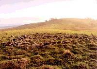 Banc Cairn, Montgomeryshire (Photo: November 1995)