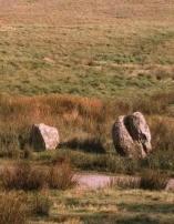Cow and Calf standing stones