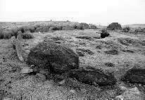 Carn Llechart cairn-circle, Glamorgan (Photo: January 1991)