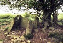 Ffostill North chambered long cairn, Brecknockshire (Photo: May 1991)