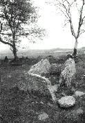 Penywyrlod long cairn, Llanigon, Breconshire (Photo: May 1991)