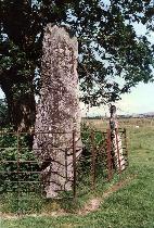 Llanbedr standing stones, Gwynedd (Photo: July 1987)