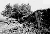 Penywyrlod long cairn, Talgarth, Brecknockshire (Photo: June 1991)